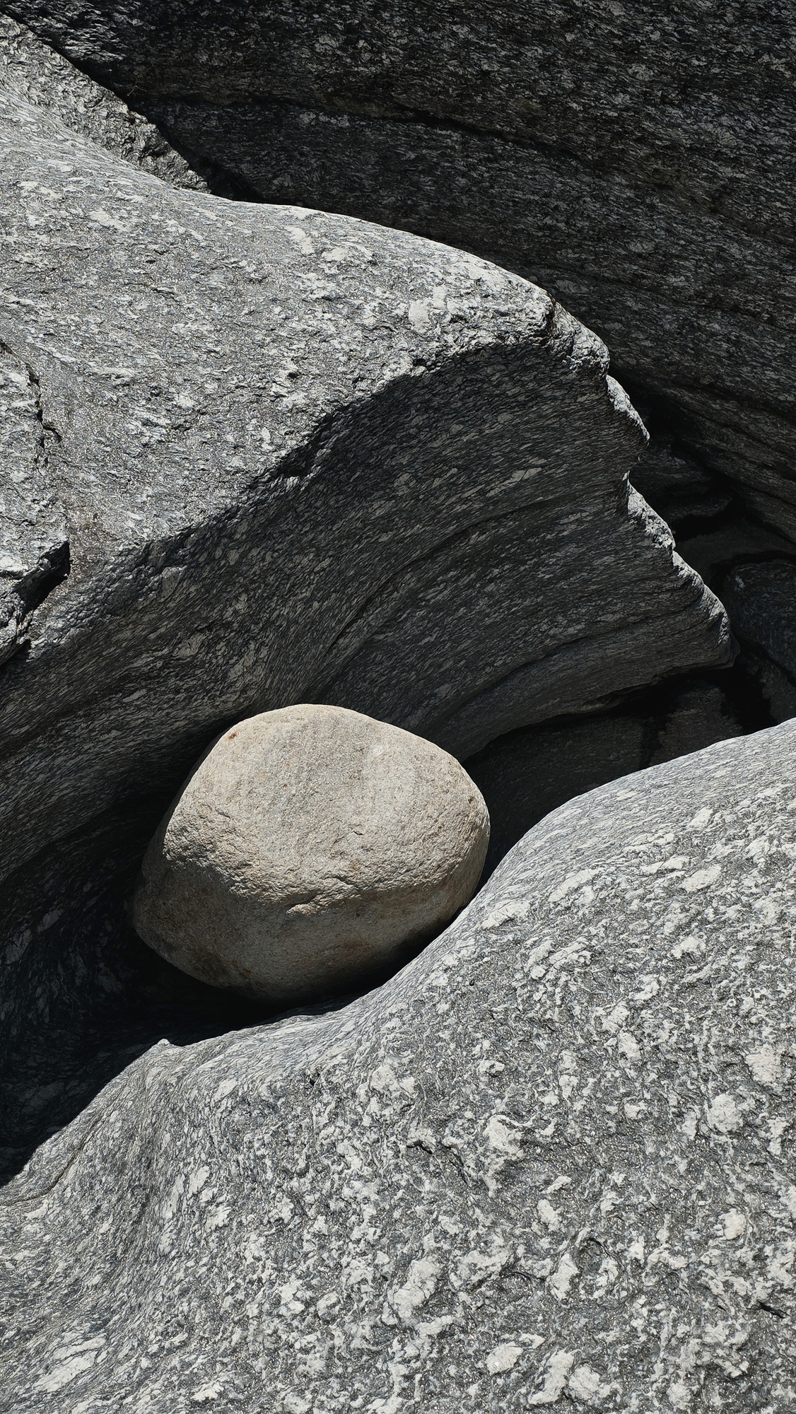 Nature-1-Détour-©Guillaume-Lopez